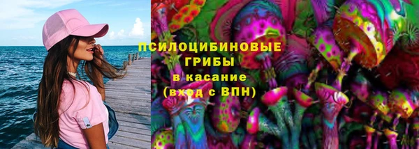 экстази Богородицк